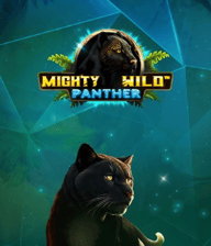 Mighty Wild: Panther Diamond Burning Board