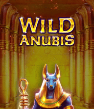Wild Anubis