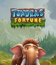 Tundra's Fortune