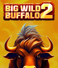 Big Wild Buffalo 2
