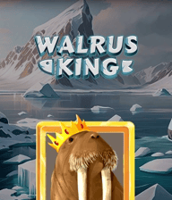 Walrus King