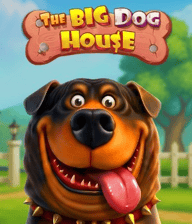 The Big Dog House