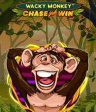Wacky Monkey - Chase'N'Win