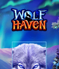 Wolf Haven