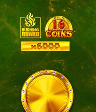 16 Coins Gold Burning Board