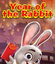 Year of the Rabbit