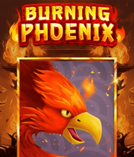 Burning Phoenix