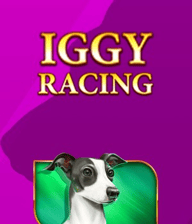 Iggy Racing