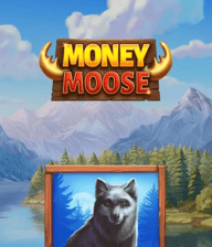 Money Moose