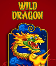 Wild Dragon
