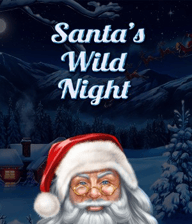 Santa's Wild Night