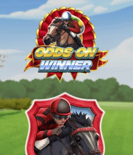 Odds On Winner