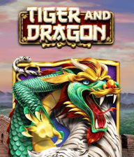 Tiger and Dragon