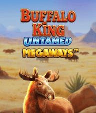Buffalo King Untamed Megaways