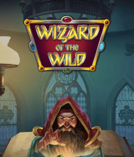 Wizard of the Wild