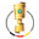 Copa de Alemania DFB